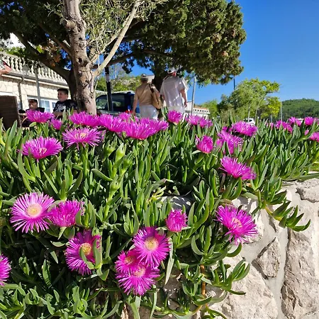 Valja - 55m2 - Sea View - Garden - Grill *